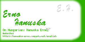 erno hanuska business card